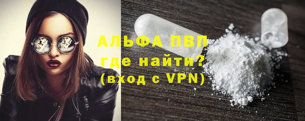 молекула духа Ростов