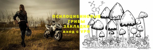 PSILOCYBIN Пролетарск