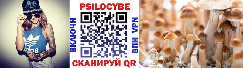 Псилоцибиновые грибы Psilocybine cubensis  нарко площадка формула  Курганинск  цены наркотик 
